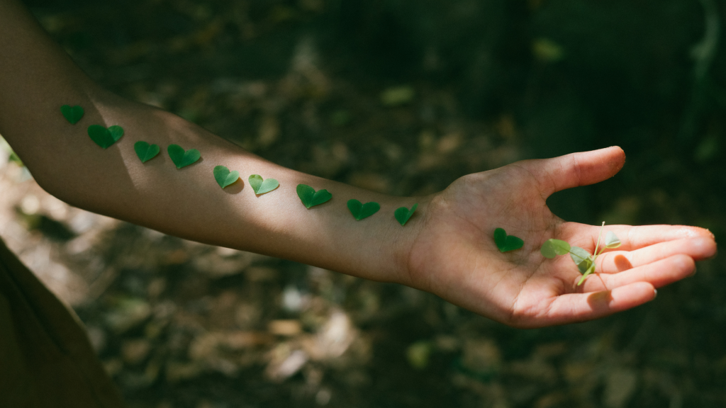  heart shape leaves